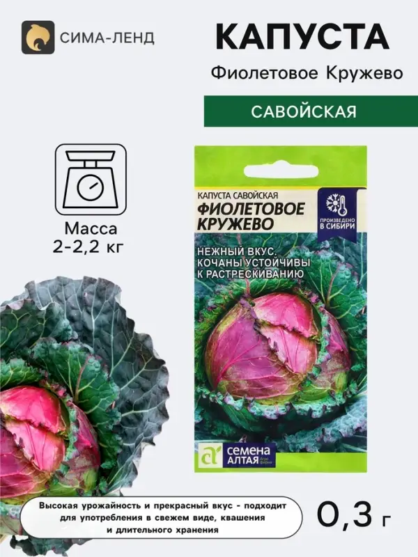 Семена Капуста савойская &laquo;Фиолетовое Кружево&raquo;, 0.3 г, &laquo;Семена Алтая&raquo;