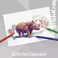 Фломастеры ErichKrause Safari Ultra Washable 12 цветов, в футляре с европодвесом