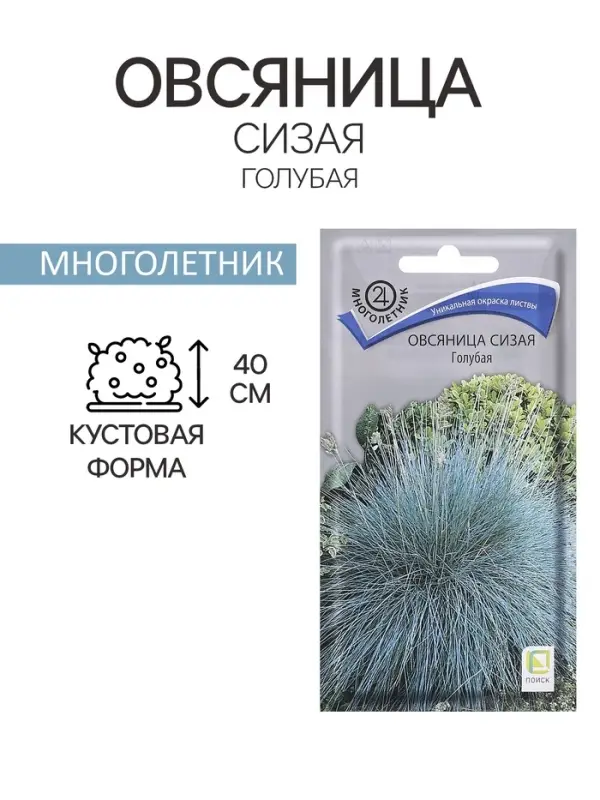 Семена цветов Овсяница "Сизая", Голубая, 0,1гр.