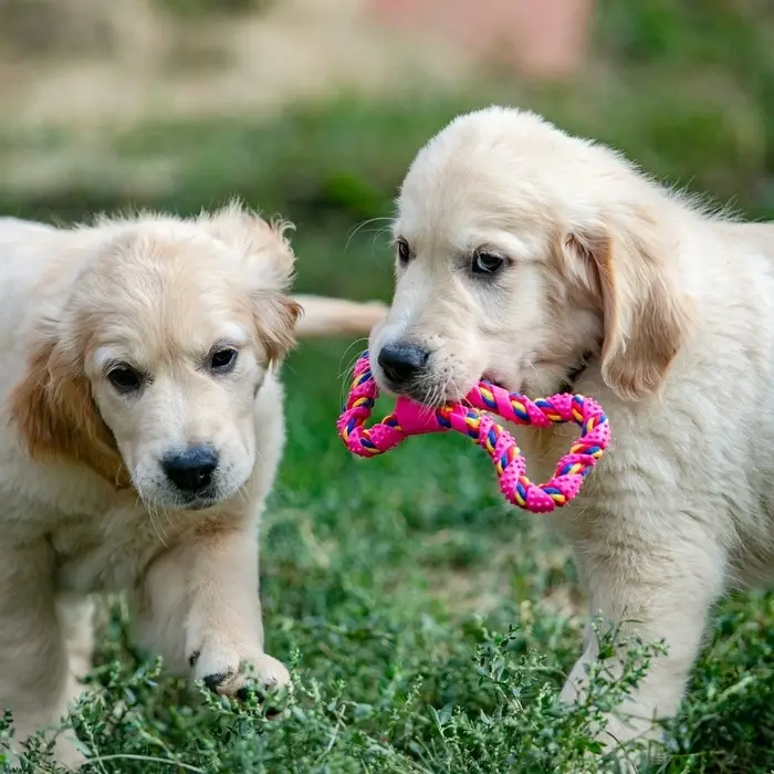 Игрушка витая из резины и каната &laquo;Мегакость&raquo;, 19.5 см, розовая