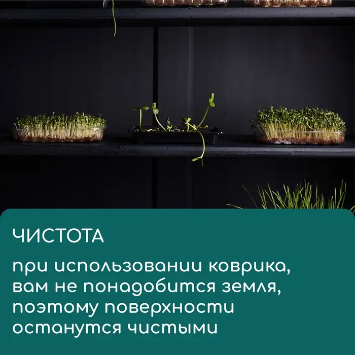 Коврик джутовый для выращивания микрозелени, 10&times;15 см, толщина 1 см, набор 5 шт.