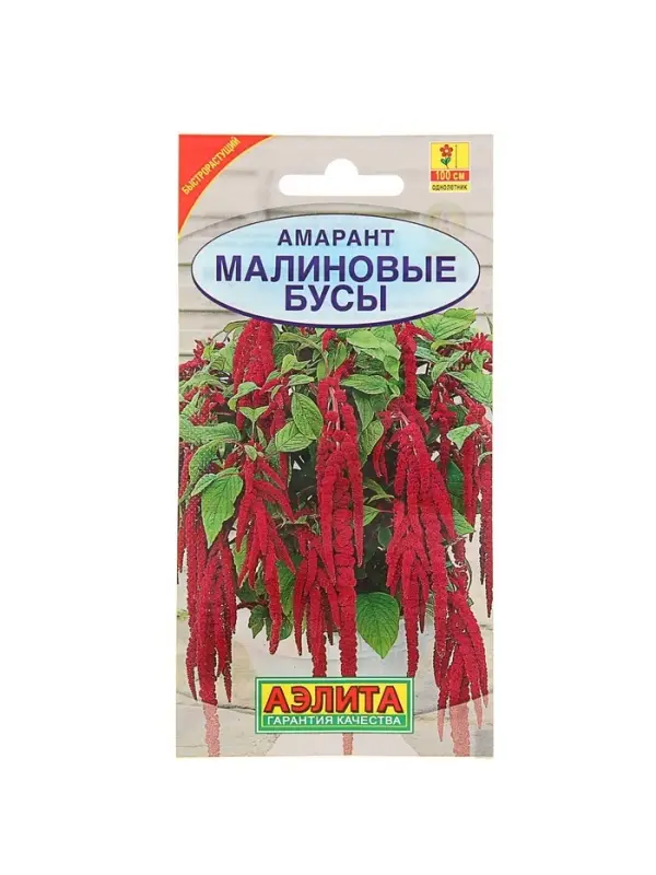 Набор семян Амарант "Малиновые бусы", О, 5 шт.