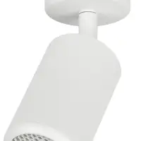 Светильник настенно-потолочный спот IP20 белый OL55 WH MR16 GU10