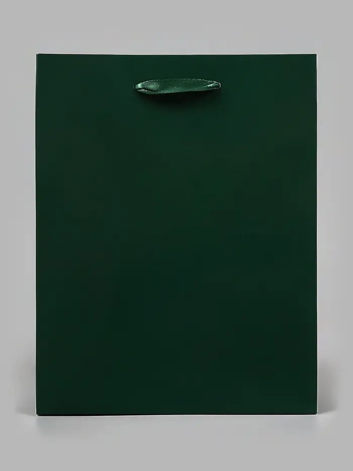 Пакет подарочный ламинированный &laquo;Зелёный&raquo;, 18&times;23&times;10 см