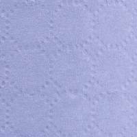 Бумага протирочная Luscan Prof 2сл 200лx1рул/уп 52м голубая