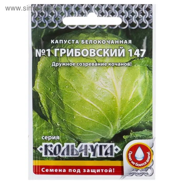 Семена Капуста белокочанная  Семена Капуста белокочанная "Номер первый Грибовский 147" серия Кольчуга, 0,5 г