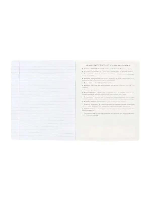 Предметная тетрадь по литературе Hatber &laquo;Буквица&raquo;, 48 листов, в линейку, со справочным материалом, обложка из мелованного картона