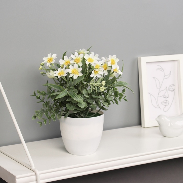 Бонсай в горшке Бонсай в горшке "Фрезия премиум экстра" 21х9 см, микс