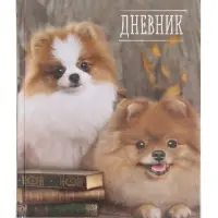 Дневник школьный для 1-11 классов, &laquo;Шпиц&raquo;, твёрдая обложка 7БЦ, глянцевая ламинация, 40 листов