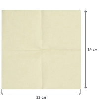 Салфетки бумажные 2сл 23х24 см шампань 250 шт/уп