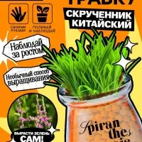 Набор для опытов &laquo;Выращиваем травку&raquo;, своими руками, оранжевый