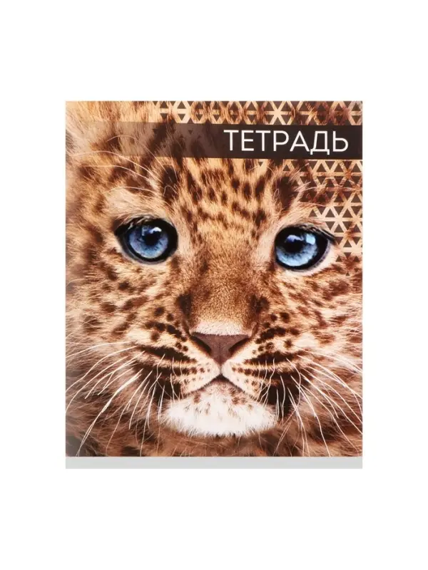 Тетрадь 48 листов в клетку, Calligrata &laquo;Дикие кошки&raquo;, обложка мелованная бумага, МИКС