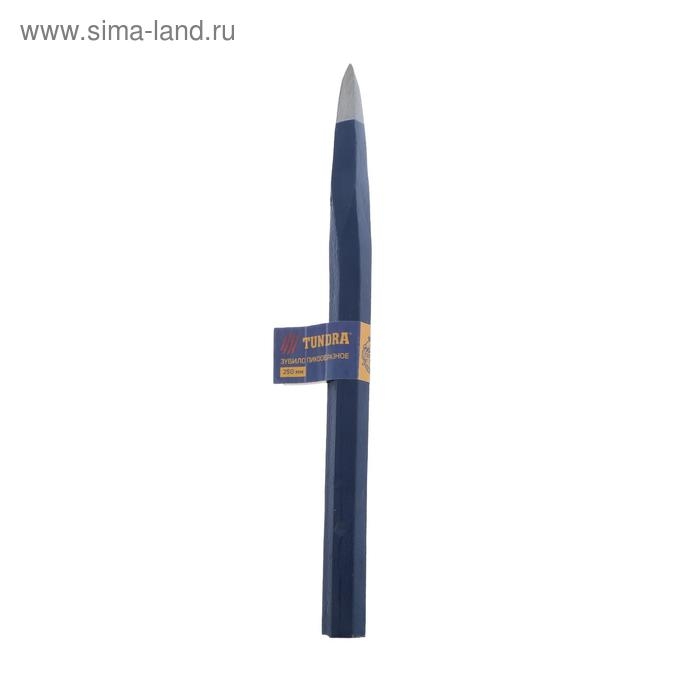 Зубило пикообразное ТУНДРА, арматурная сталь, без рукоятки, 250 мм Зубило пикообразное ТУНДРА, арматурная сталь, без рукоятки, 250 мм