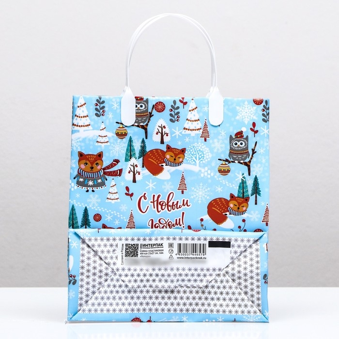 Новый год. Пакет  Новый год. Пакет "Холодок", мягкий пластик, 22,5 х 25,5 см.
