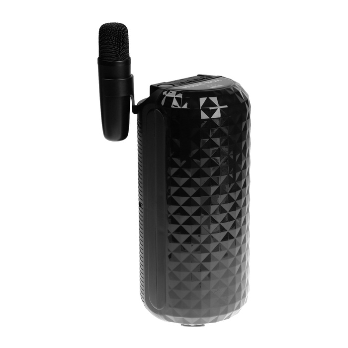 Портативная караоке система Music Box, 10 Вт, FM, USB, BT, 1200 мАч, чёрная Портативная караоке система Music Box, 10 Вт, FM, USB, BT, 1200 мАч, чёрная