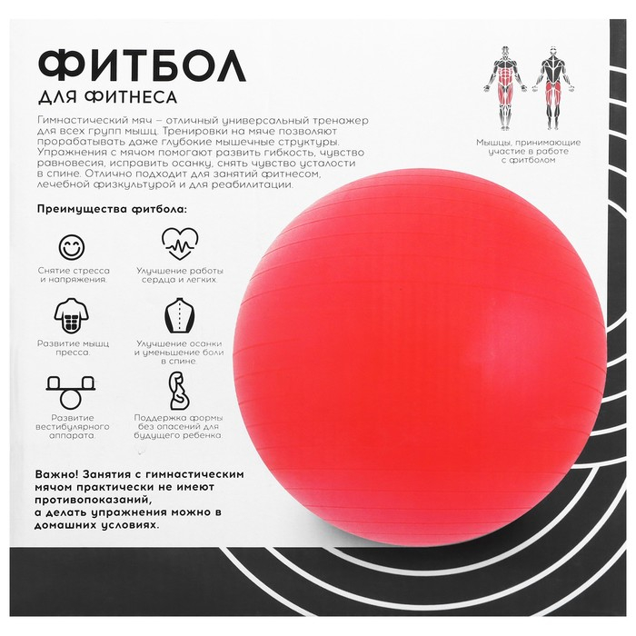 Фитбол ONLYTOP, d=65 см, 900 г, антивзрыв, цвет серый Фитбол ONLYTOP, d=65 см, 900 г, антивзрыв, цвет серый