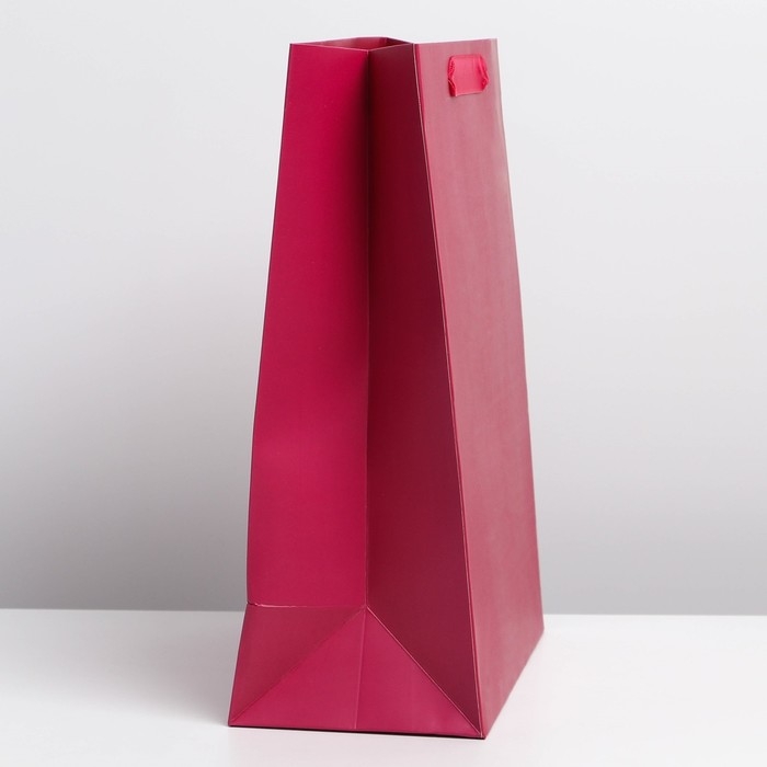 Пакет подарочный ламинированный, упаковка, &laquo;Фуксия&raquo;, ML 23 х 27 х 11.5 см