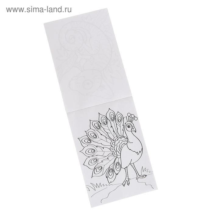 Раскраска «100 листов. Зоопарк»