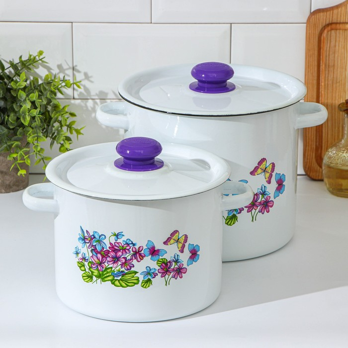 Набор кастрюль «Фиалка», 2 предмета: 3.5 л, 5.5 л, индукция, цвет МИКС Набор кастрюль «Фиалка», 2 предмета: 3.5 л, 5.5 л, индукция, цвет МИКС