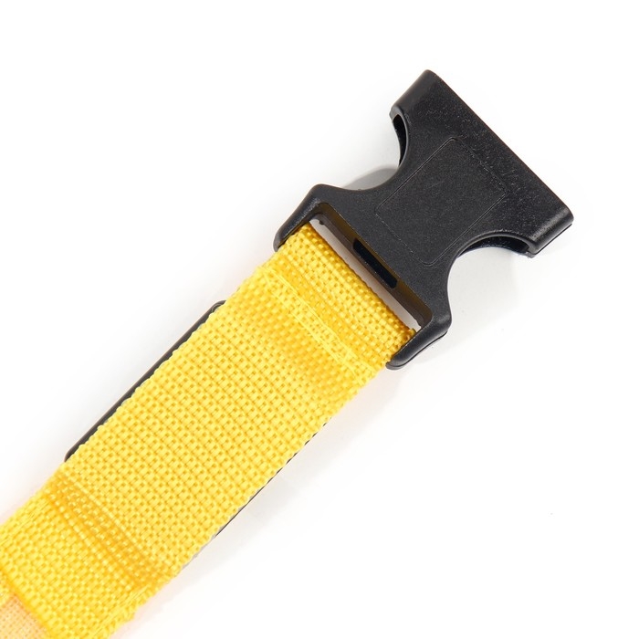 Ошейник с подсветкой размер S, ОШ 35-43 х 2,5 см, 3 режима свечения жёлтый