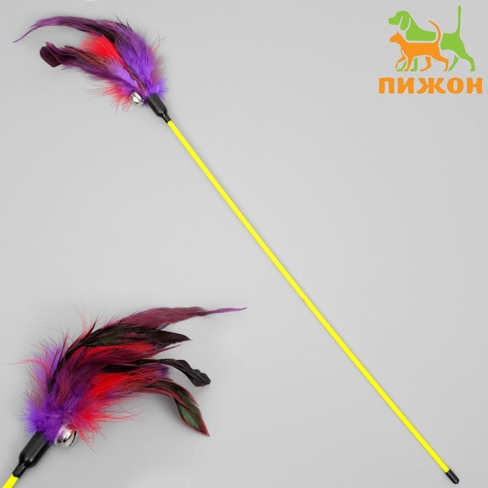 Дразнилка  Дразнилка "Фазан" с бубенчиком, 50 см, микс цветов