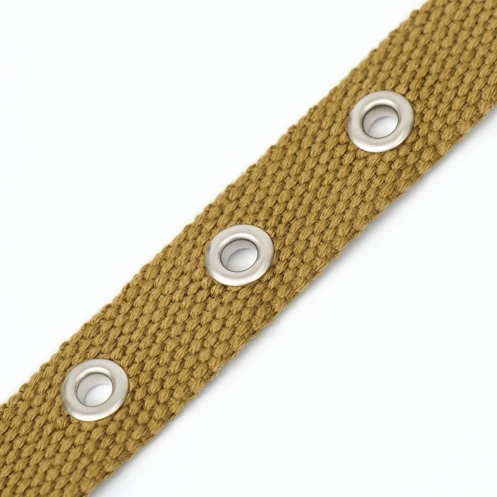 Ошейник брезентовый однослойный, 52 х 2 см, песочный Ошейник брезентовый однослойный, 52 х 2 см, песочный