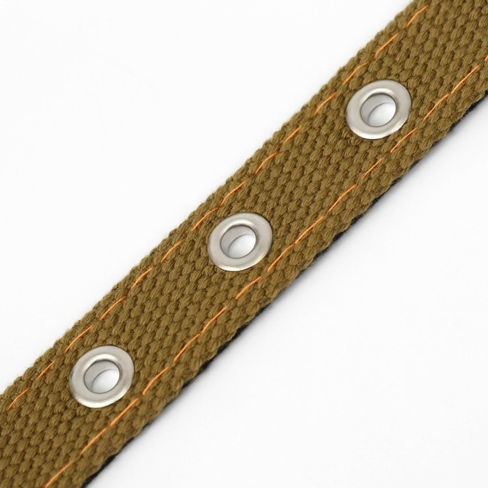 Ошейник брезентовый с подкладом, 52 х 2 см, песочный Ошейник брезентовый с подкладом, 52 х 2 см, песочный