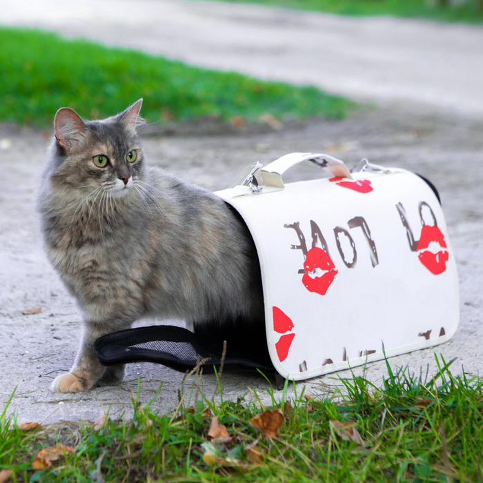 Сумка - переноска для животных  Сумка - переноска для животных "Love", размер S, белая, 37,5 х 17 х 22 см