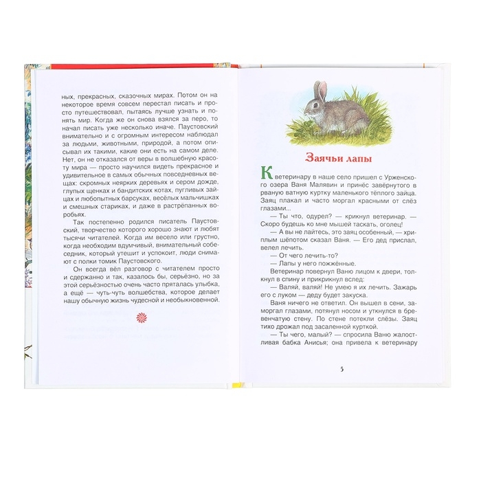 Книга «Рассказы и сказки для детей», Паустовский К.Г., внеклассное чтение Книга «Рассказы и сказки для детей», Паустовский К.Г., внеклассное чтение