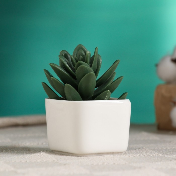 Горшок Горшок "Эко" 5х4см