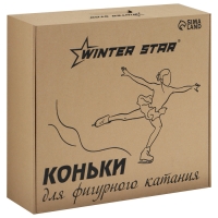 Коньки фигурные Winter Star Basic, р. 41