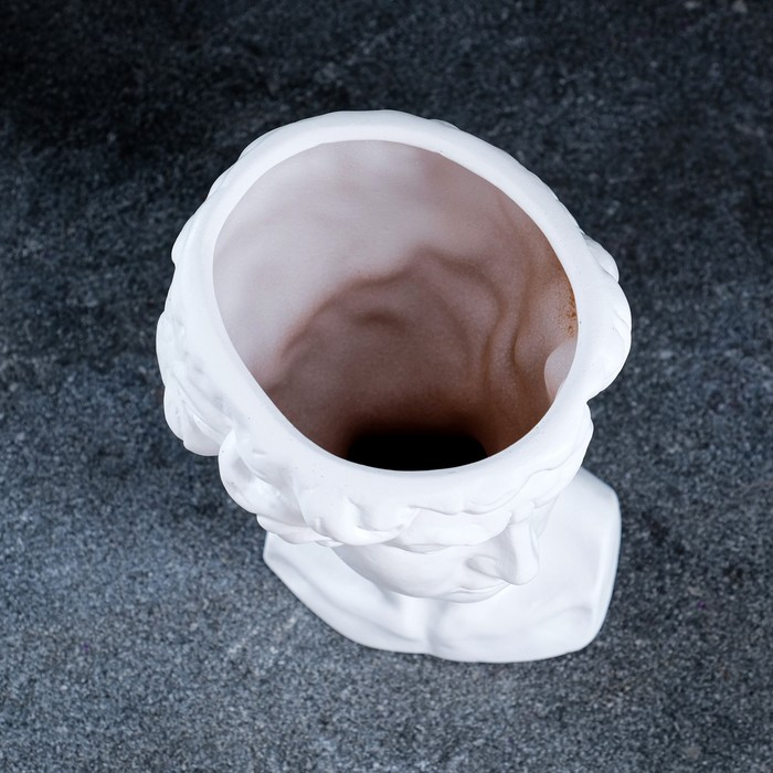 Кашпо - органайзер Кашпо - органайзер "Давид" белое, 1,25л/ 21х15х16см