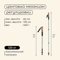 Палка треккинговая maclay Alu 500, телескопическая, 1 шт.