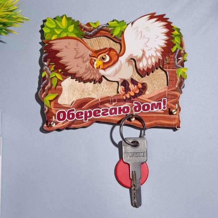 Ключница Ключница "Оберегаю дом!" сова, 15х14х1 см