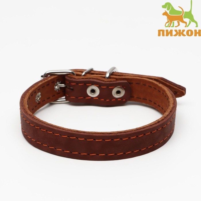 Ошейник кожаный двухслойный, 46 х 2 см, ОШ 25-35 см, коричневый Ошейник кожаный двухслойный, 46 х 2 см, ОШ 25-35 см, коричневый