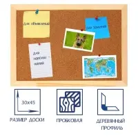 Доска пробковая Calligrata, 30&times;45 см, в деревянной раме