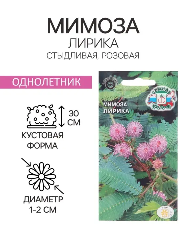 Семена цветов Мимоза "Лирика", стыдливая, розовая, Евро, 0,1 г