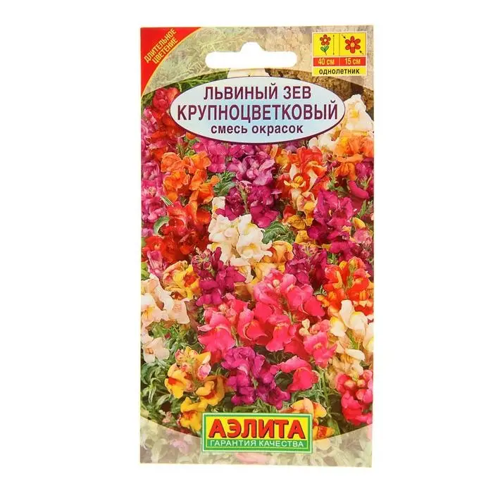 Семена цветов Львиный зев  Семена цветов Львиный зев "Крупноцветковый", смесь окрасок, О, 0,3 г