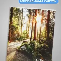 Тетрадь 96 листов, в клетку, Calligrata &laquo;Природа&raquo;, серые листы, МИКС