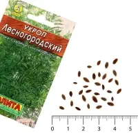 Семена Укроп &laquo;Лесногородский&raquo;, 2 г