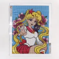 Алмазная мозаика с полным заполнением на холсте &laquo;Лунная принцесса&raquo;, 30&times;40 см