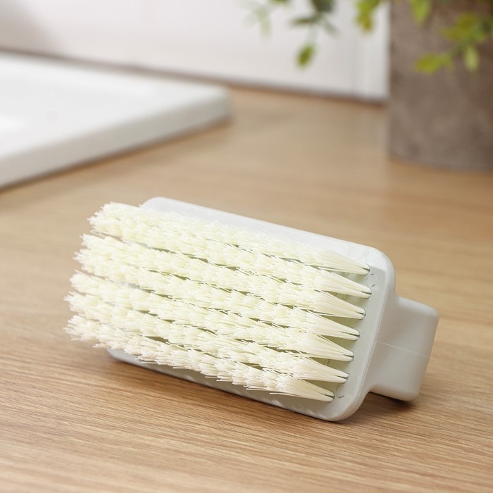 Щётка универсальная Raccoon Breeze, 10×5×5,5 см Щётка универсальная Raccoon Breeze, 10×5×5,5 см