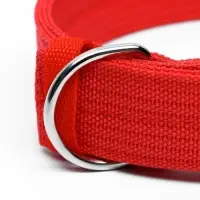 Ошейник четырехслойный, 64&times;4 см, ОШ 50-58 см, полиэстер, красный