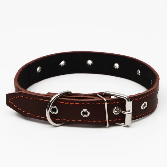 Ошейник кожаный на синтепоне, безразмерный, 65&times;3 см, ОШ 22-55 см, коричневый