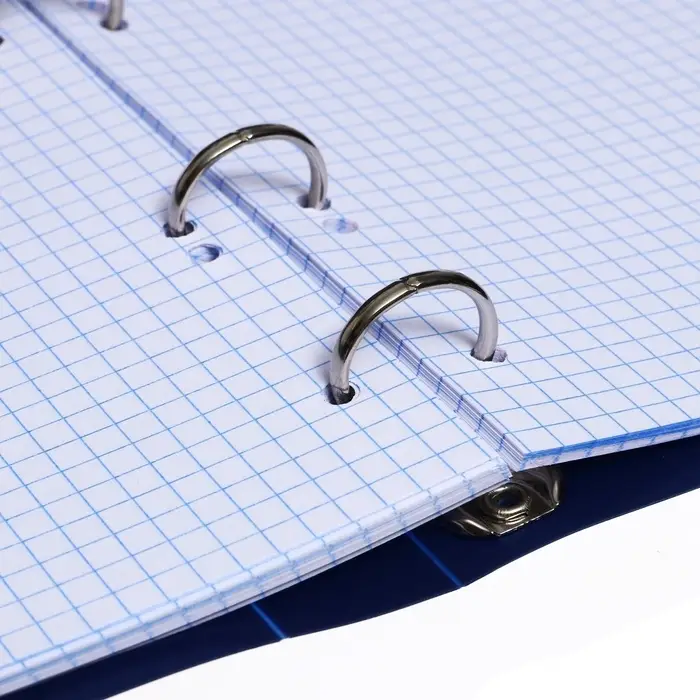 Тетрадь на кольцах Calligrata A5, 80 листов, в клетку, пластиковая обложка, блок офсет, синяя