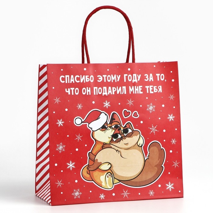 Пакет подарочный новогодний «Спасибо этому году», 22 х 22 х 11 см Пакет подарочный новогодний «Спасибо этому году», 22 х 22 х 11 см