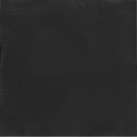 Салфетки бумажные 2-сл. 24х24 черные 250 шт./уп