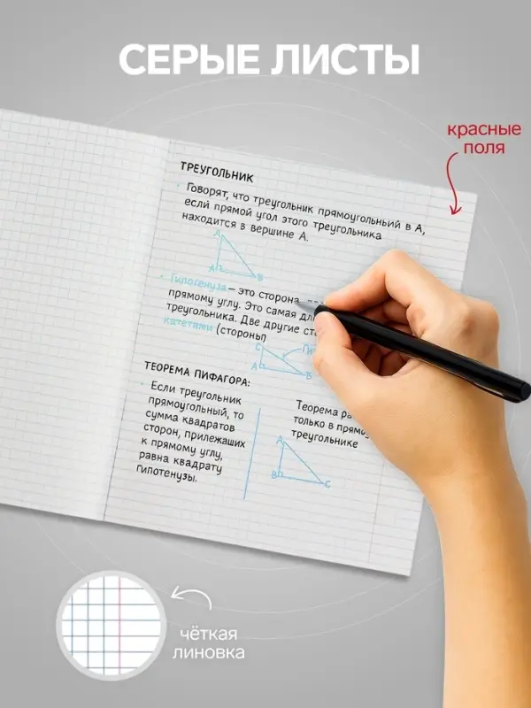 Тетрадь 48 листов в клетку, Calligrata &laquo;Изумруд&raquo;, МИКС