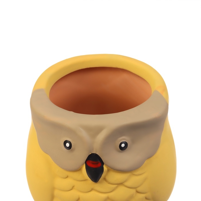 Ороситель «Совушка», 16×6см, цвет МИКС, набор 4 шт. Ороситель «Совушка», 16×6см, цвет МИКС, набор 4 шт.