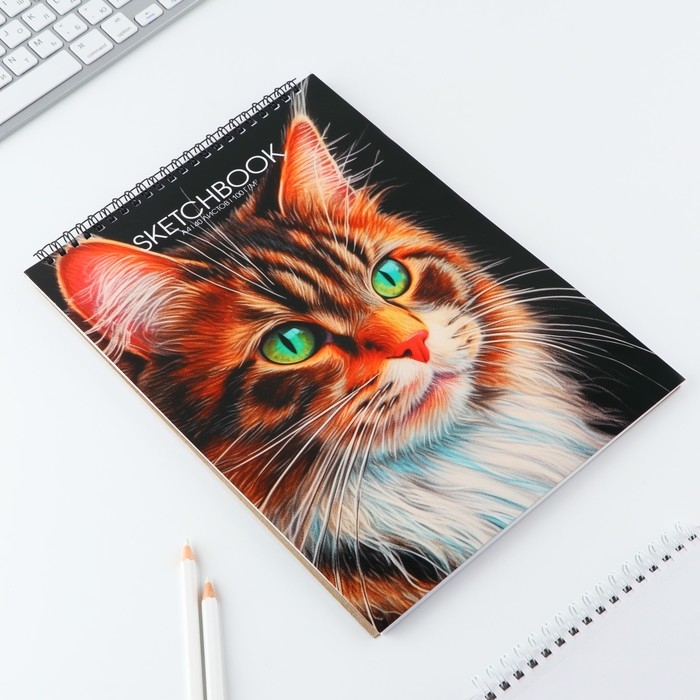 Скетчбук А4, 40 л. 100 г/м «Кот» Скетчбук А4, 40 л. 100 г/м «Кот»